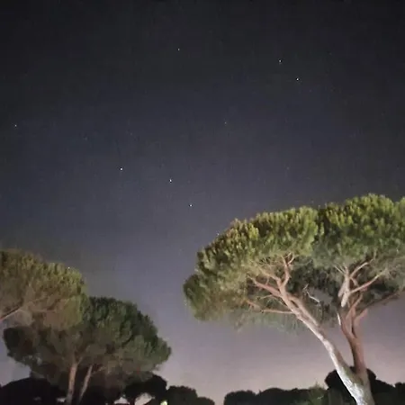 Magnifico Con Jardin Y Vistas En Novo Sancti Petri